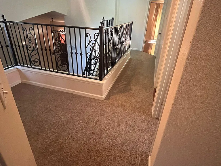 3809 Amur Maple Dr — Photo 1