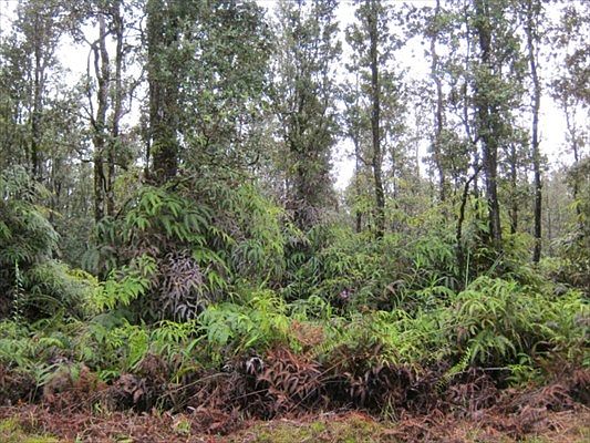 1st image of Lanai Rd Lot 737