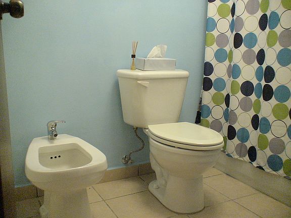 Videt and tub in master
