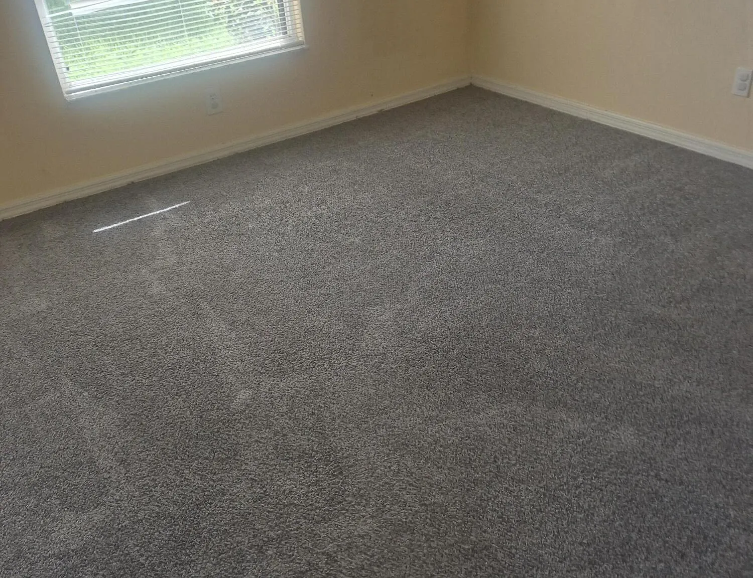 3 bed, 2.0 bath, 1176 sqft, $2,200 — Photo 4