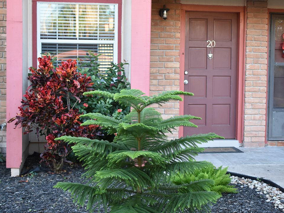 1st image of 20 Palmetto Ct