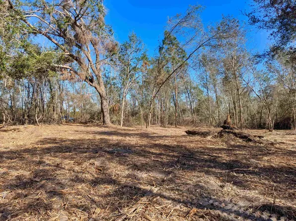 SE Farm Rd, Lee, FL 32059