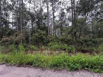 NE 66TH AVE LOT 16, Citra, FL, 32113