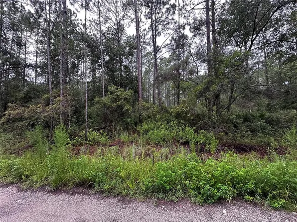 NE 66th Ave Lot 16, Citra, FL 32113
