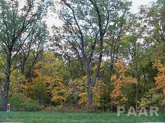 2nd image of LOT 25 Wolf Crossing Dr