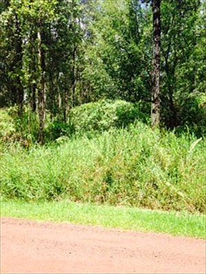 1st image of Emerald Dr