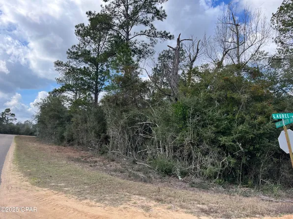 LOT 13 Vancouver Dr, Alford, FL 32420