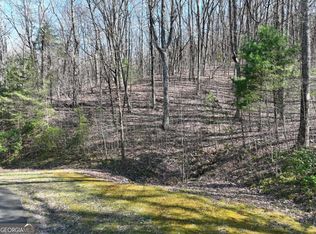 66 Saint Andrews Way, Ellijay, GA 30536