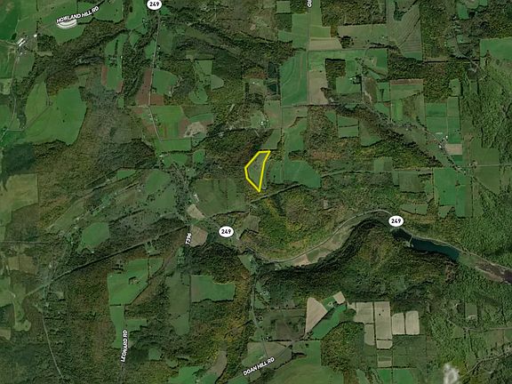5th image of 113 Hawk Hill Ln