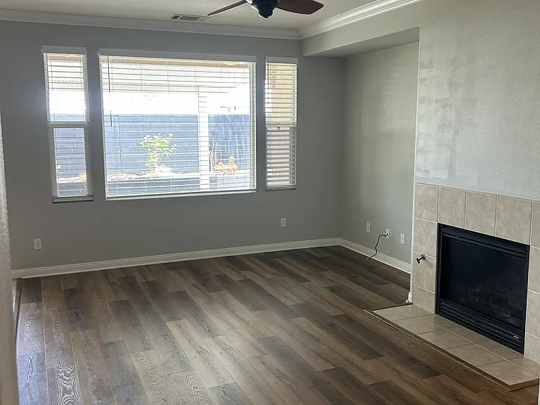 26112 Palm Breeze Ln — Photo 11