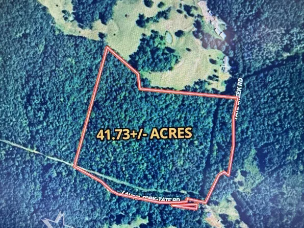 Tate Creek Rd, Frametown, WV 26623