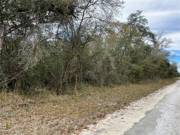 PLYMOUTH ROCK DRIVE LOT 14, WEBSTER, FL 33597