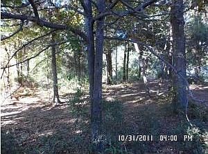 2nd image of 312 Dogwood Dr