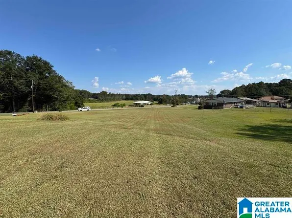 Lee Rd #4, Pell City, AL 35128