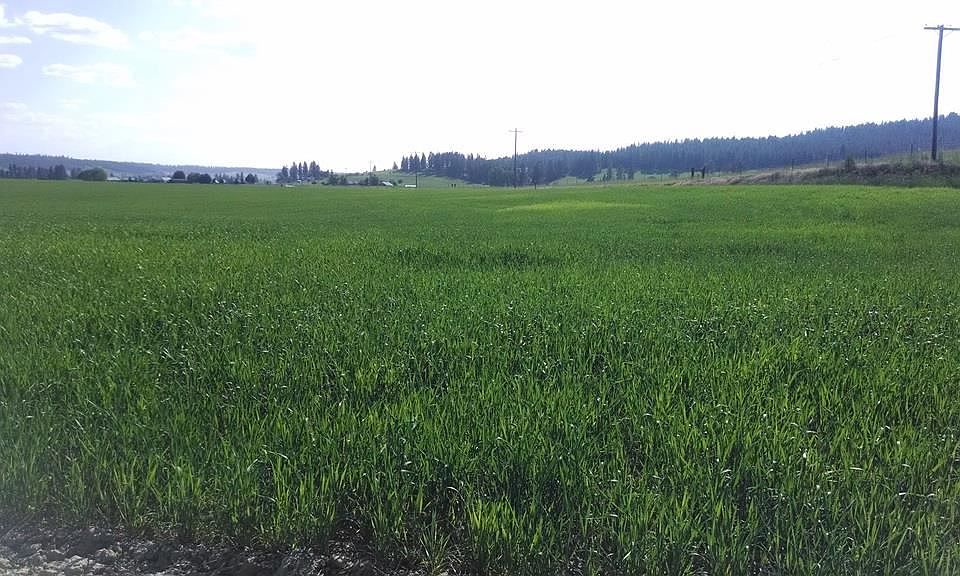 1st image of 0 E Mount Spokane Park Dr