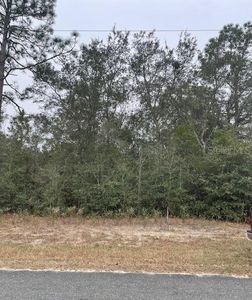 18530 SW 44th St Lot 43, Dunnellon, FL, 34432
