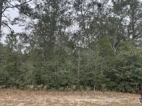 18530 SW 44th St Lot 43, Dunnellon, FL 34432