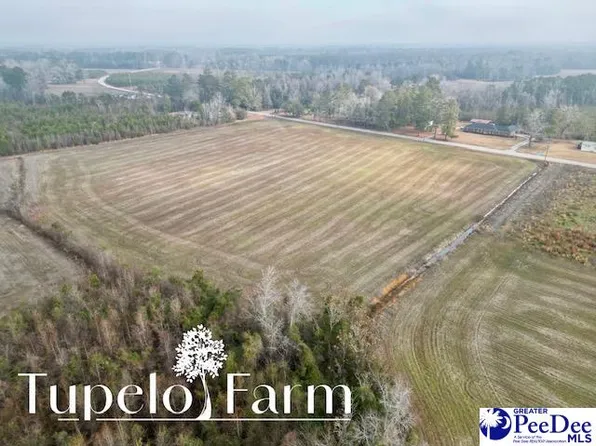 W Lynhurst Rd Lot 7, Pamplico, SC 29583