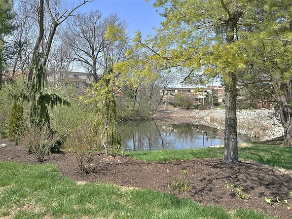 5th image of 12324 Ballas Pond Dr