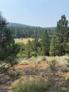 Tbd West Pine Dr, New Meadows, ID, 83654