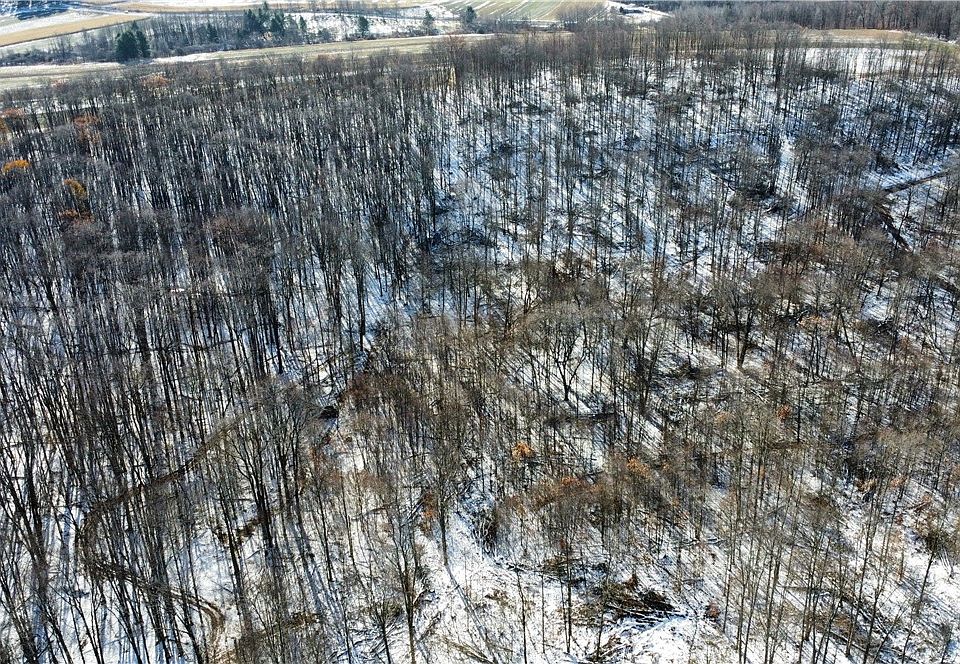 1st image of 443 S Branch Rd