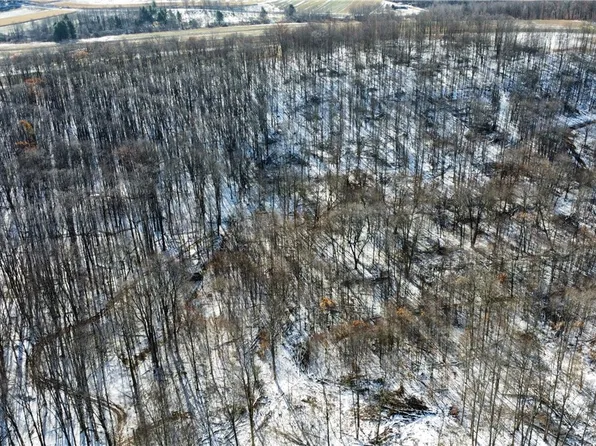 443 S Branch Rd, Coudersport, PA 16915