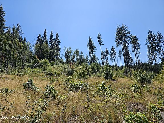 4th image of 1886 Alder Way