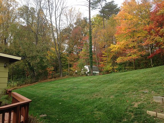 Backyard 2
