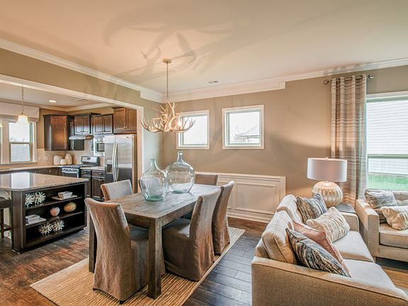 Model Representation