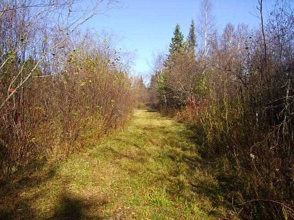 3rd image of 22XX Drummond Grade