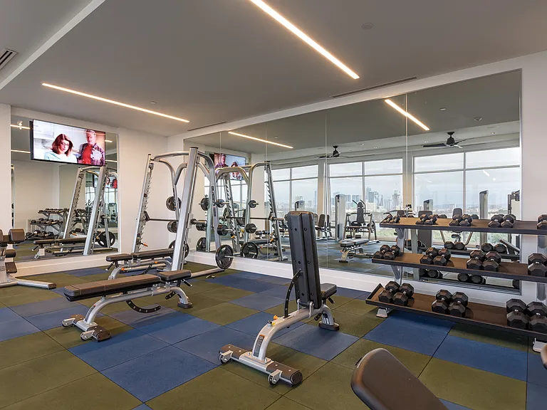 Free Weights in Fitness Center