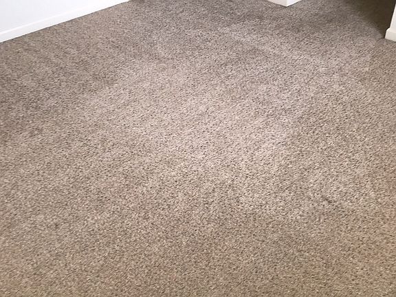 3rd image of 8716 8th Pl NE