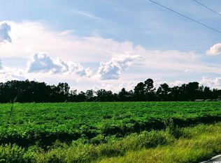Horry Rd LOT B, Aynor, SC 29511