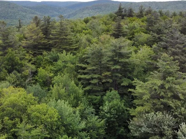 0 Mountain Pasture Rd, Becket, MA 01223