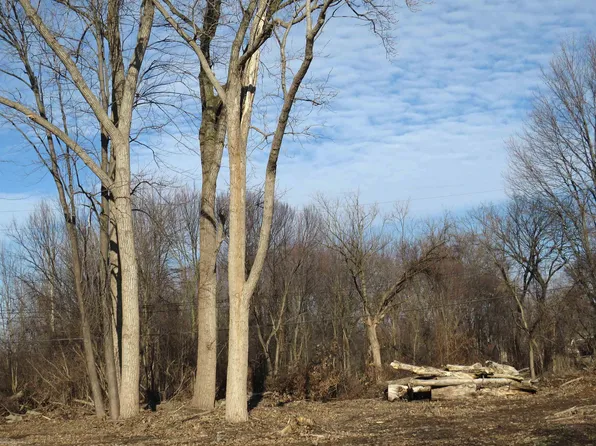 14 Mile Rd, Fraser, MI 48026