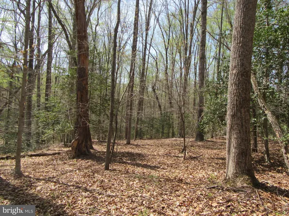 Diamond Glen Old Office Rd Lot 3, Rhoadesville, VA 22542