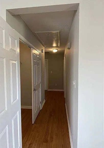 1205 Centipede Dr — Photo 4