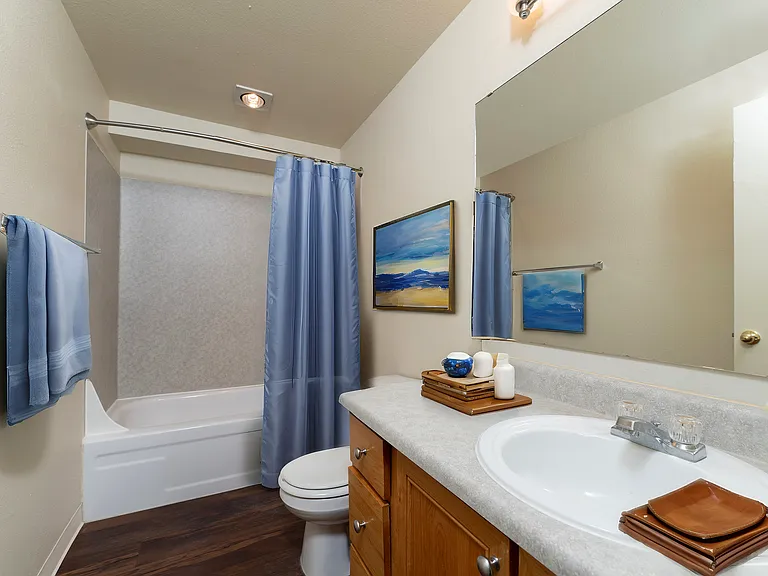 Staged Bathroom Staged Bathroom