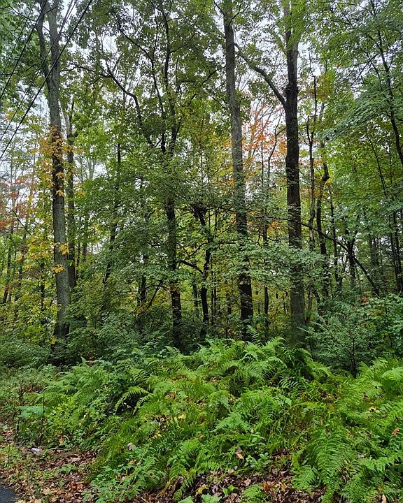 2nd image of 0 Blackmer Rd