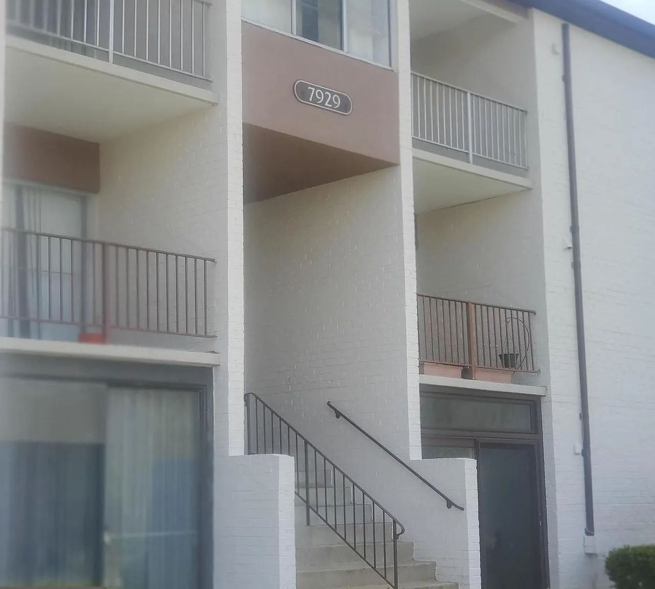 1 bed, 1000 sqft, $1,800 — Photo 3