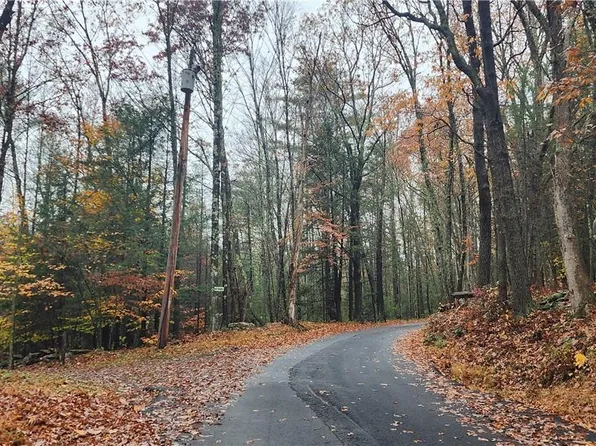 Tempaloni Road, Wurtsboro, NY 12483