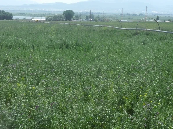 5820 Ferry Dr, Helena, MT 59602