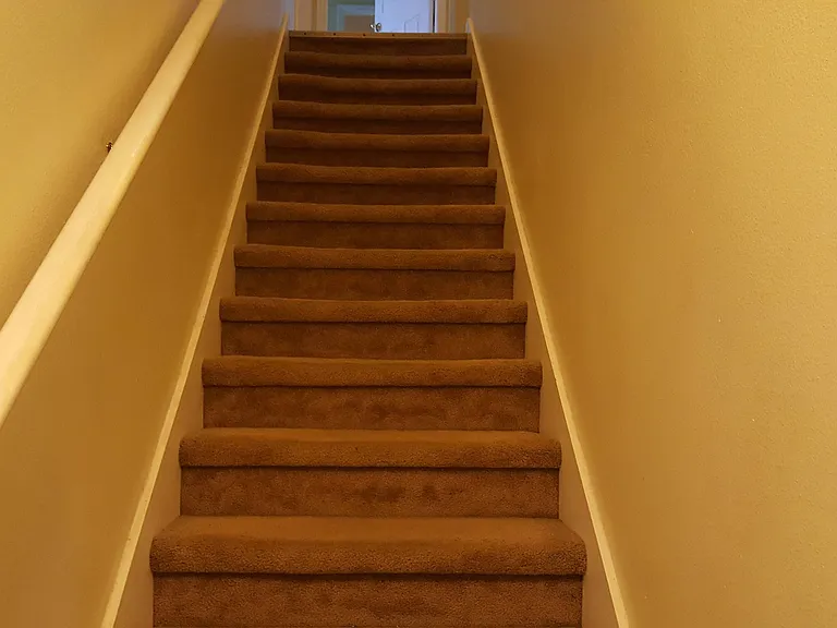 8751 Morrison Oaks Ct — Photo 19