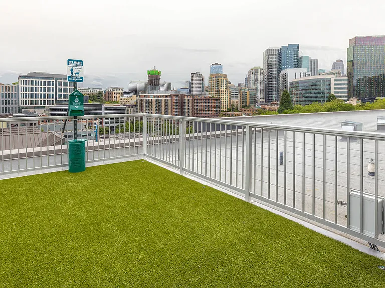 Rooftop Dog Run