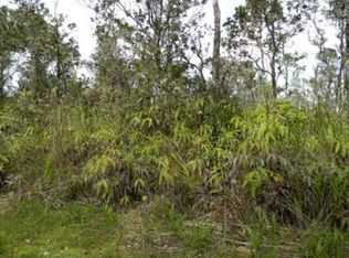 Paniolo St, Mountain View, HI 96771