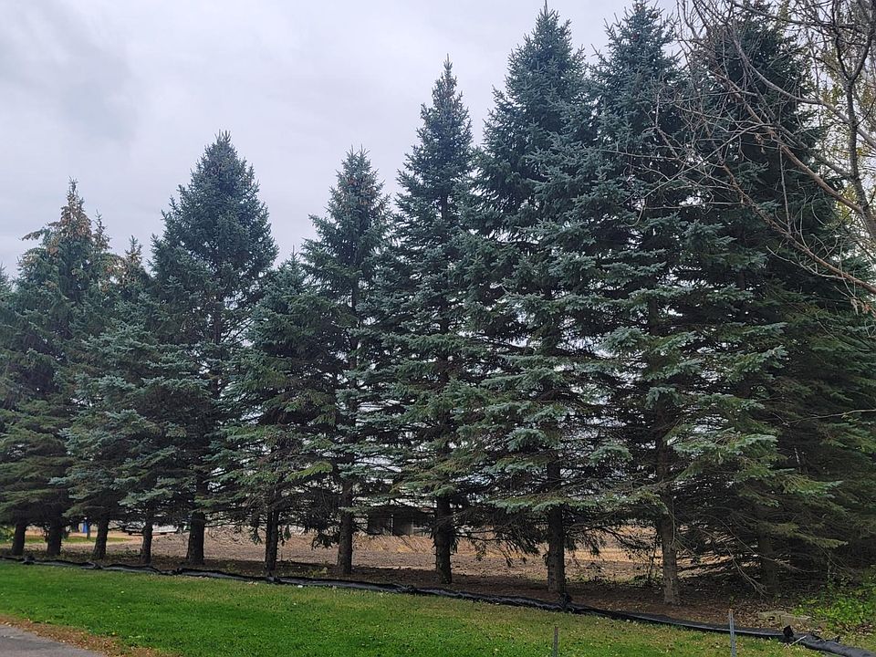 1st image of Janett Ave NE