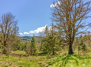 207 Lutkens Rd, Morton, WA 98356