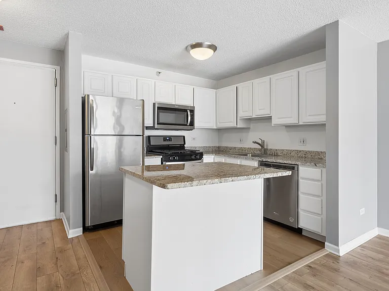 545 N Dearborn St #3008 — Photo 8