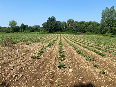 244 Pine St LOT 1, Rehoboth, MA, 02769
