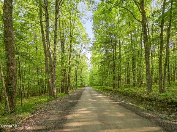 L22.22 Mud Road, Laurens, NY 13796